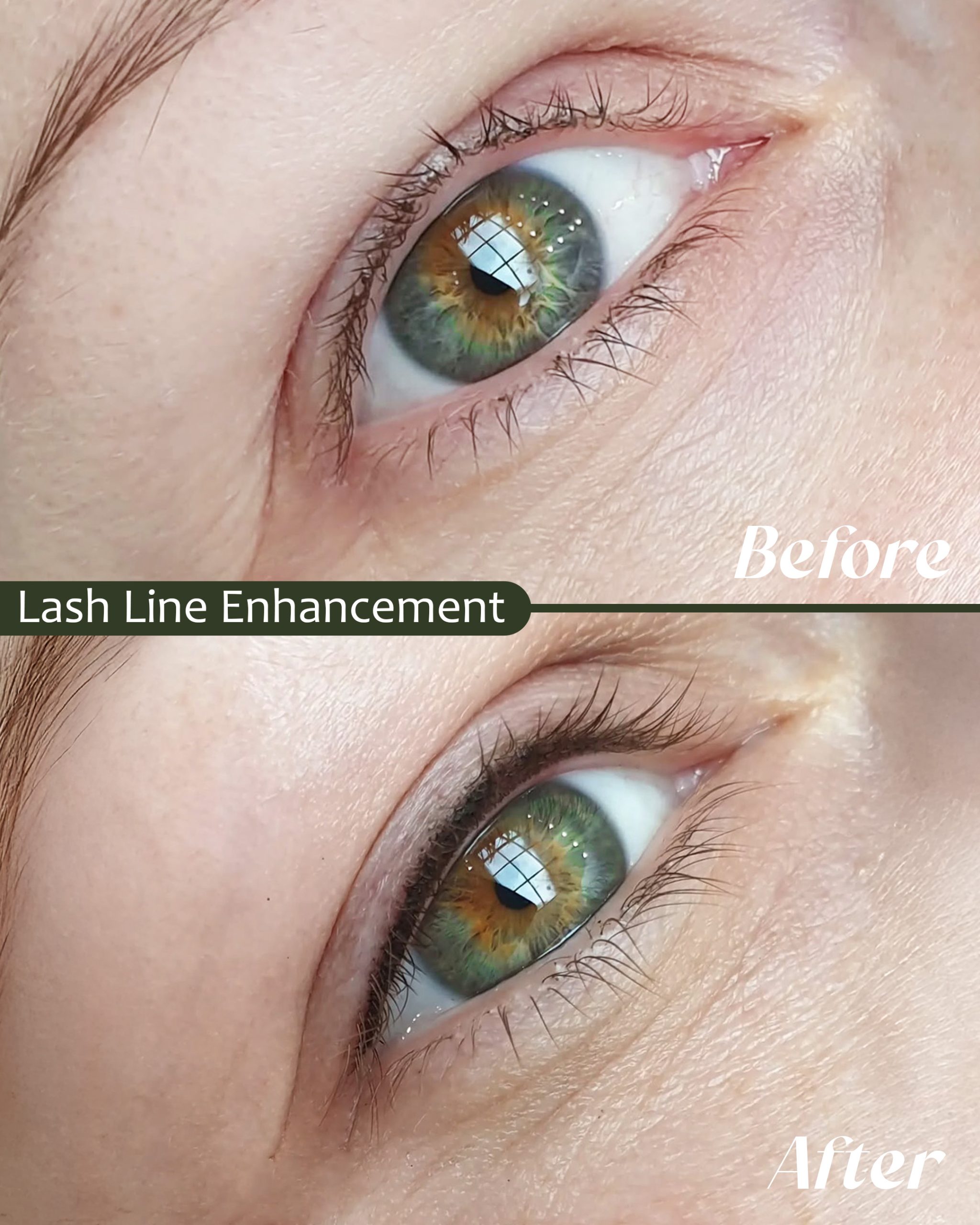 LishLine _1